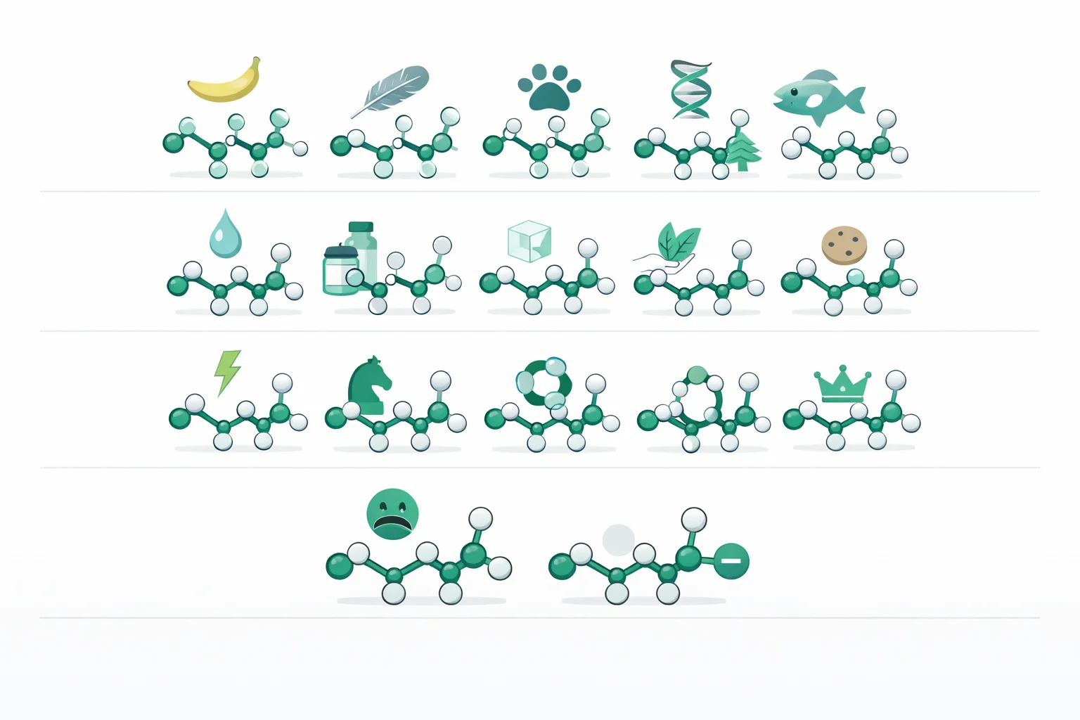 The 20 standard amino acids grouped by property with three-letter and single-letter codes
