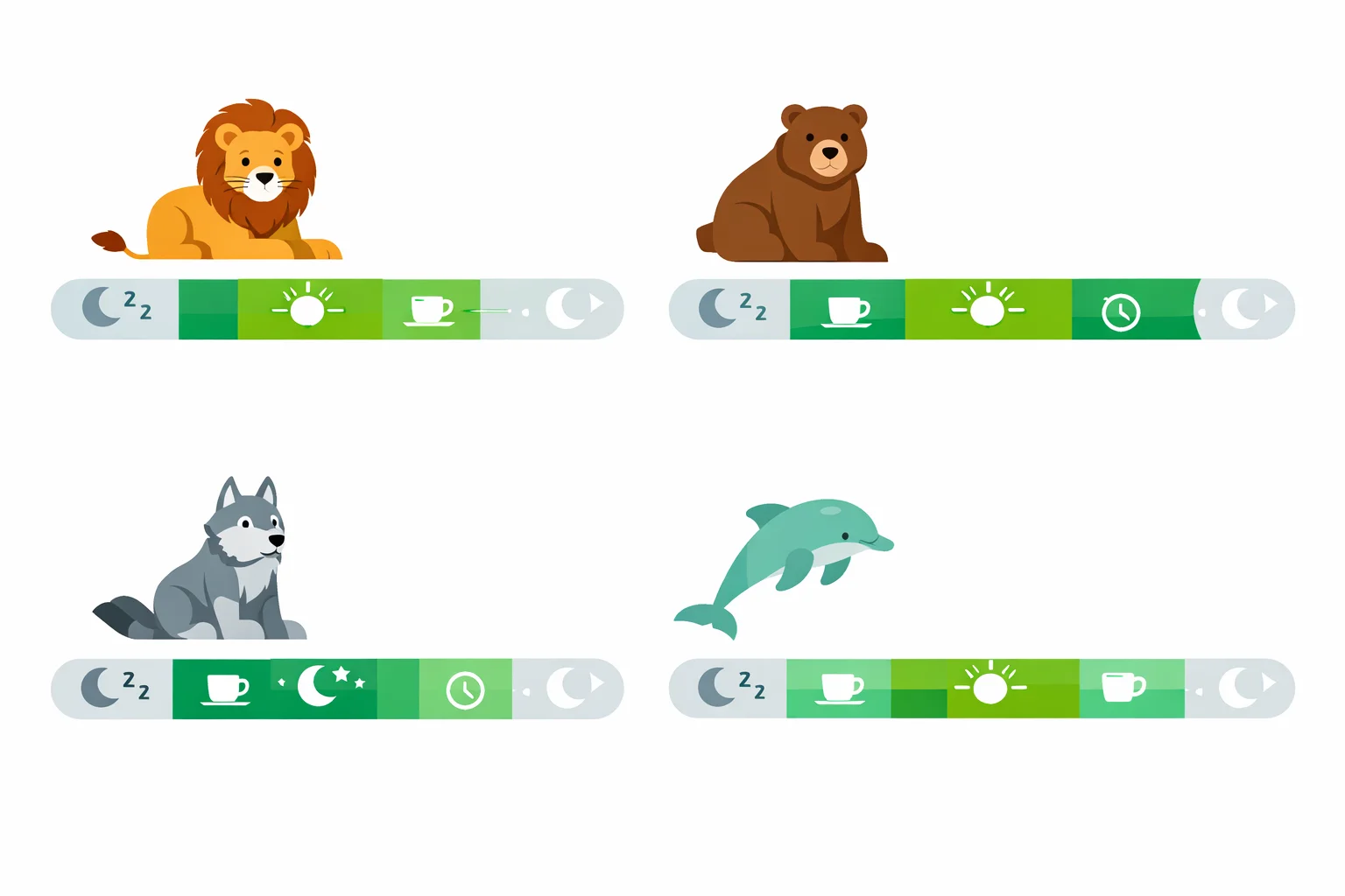 Lion, bear, wolf, and dolphin chronotypes with their ideal daily sleep and energy timelines