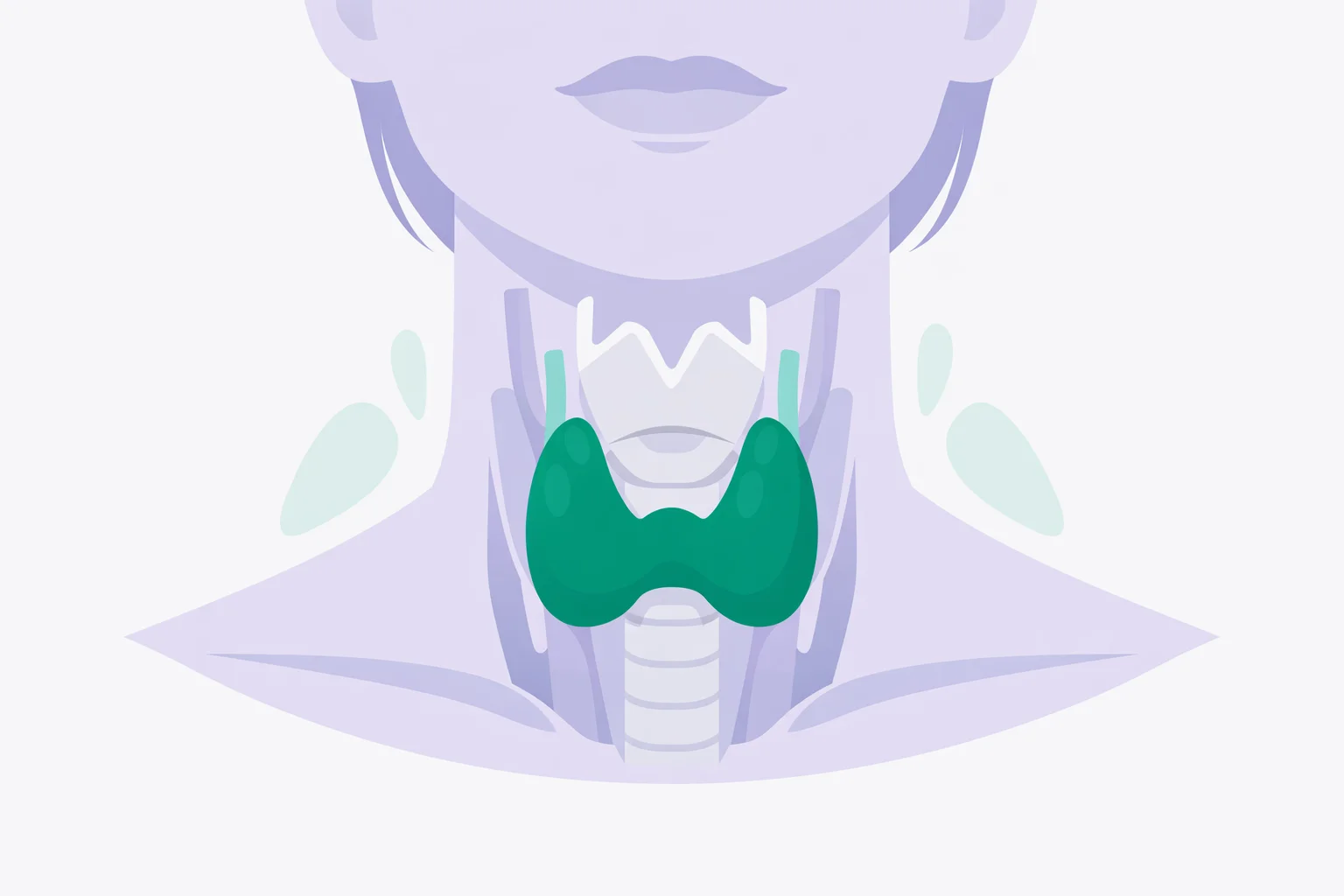 Illustration of the thyroid gland with an underactive-to-overactive dial showing both symptom directions