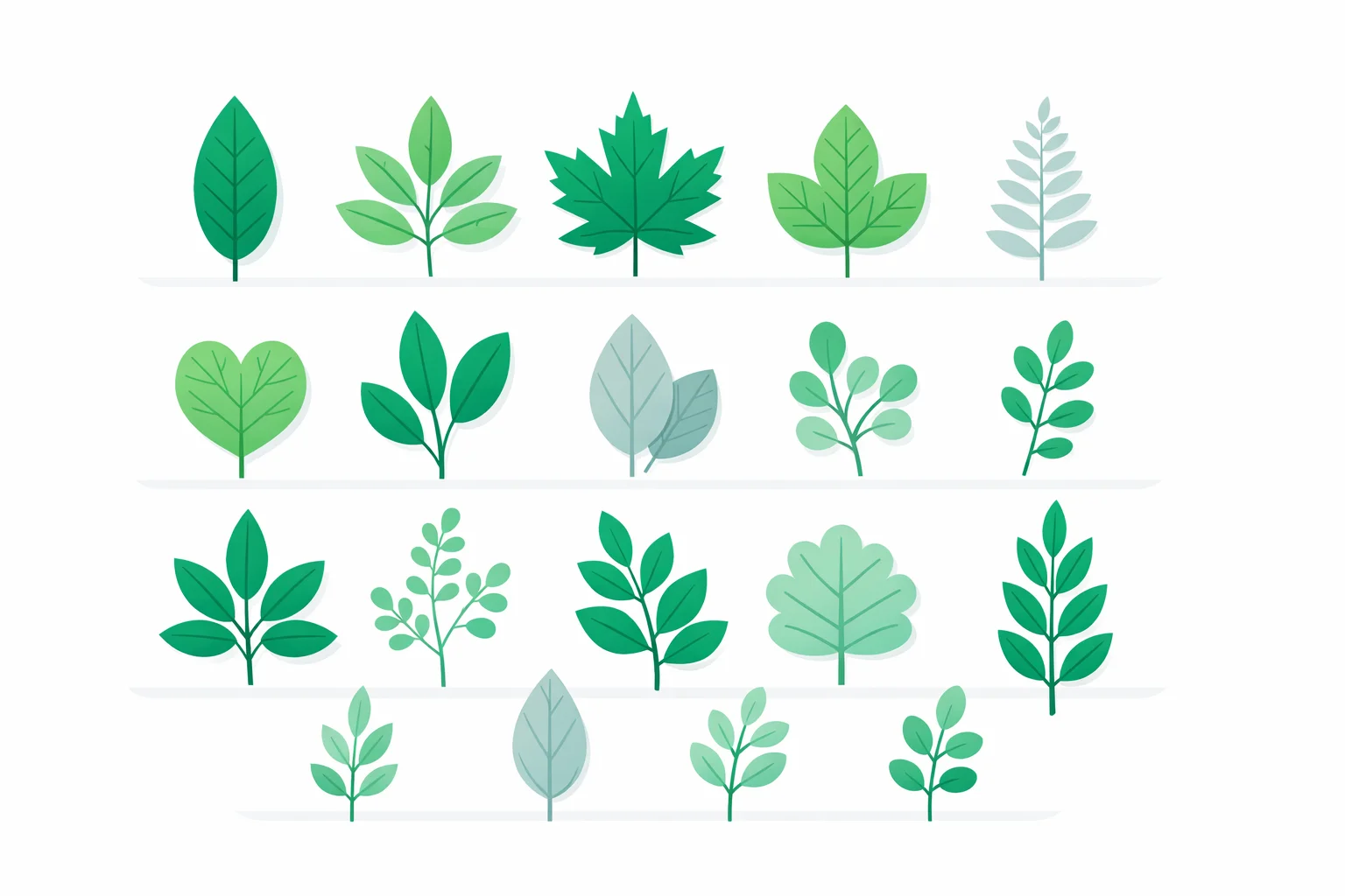 Pressed leaves arranged in rows on a pale wooden surface in soft daylight